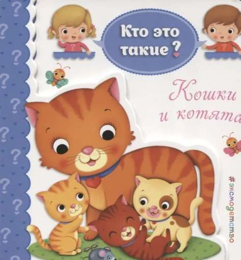 Обложка книги «Кошки и котята»