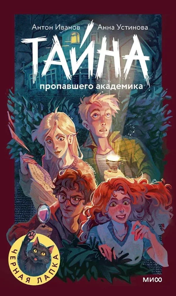 Обложка книги «Тайна пропавшего академика»
