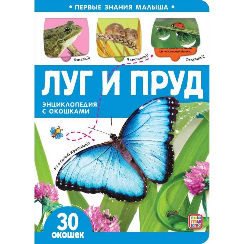 Обложка книги «Луг и пруд»