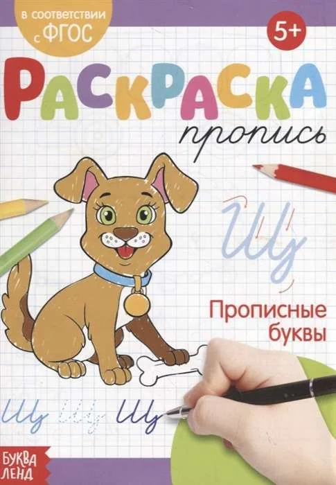 Обложка книги «Раскраска-пропись. Прописные буквы»