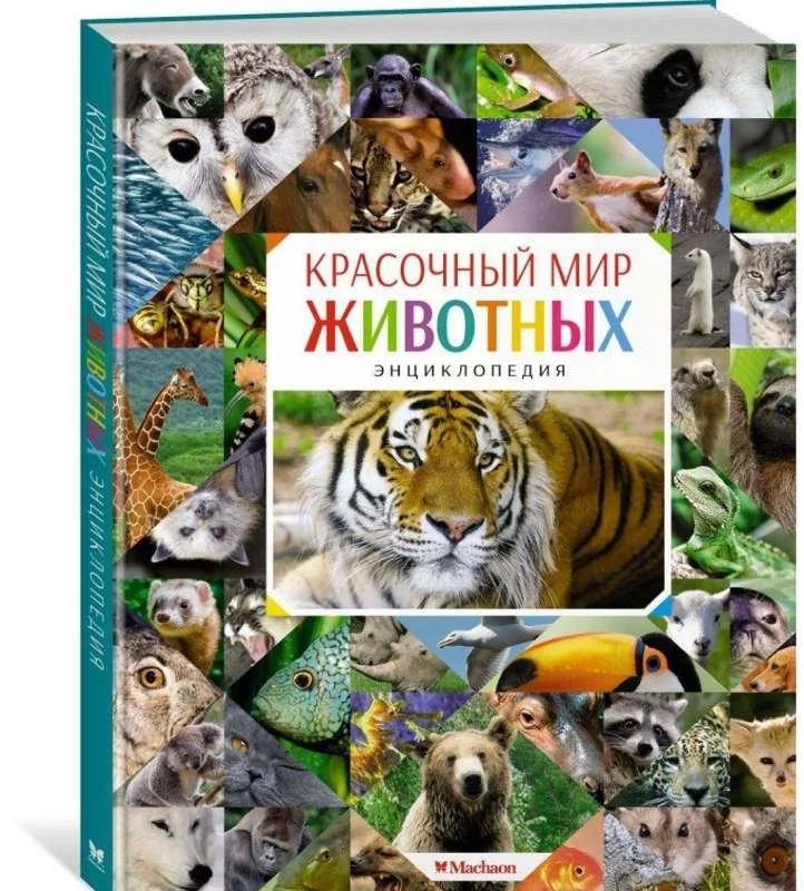 Обложка книги «Красочный мир животных. Энциклопедия»