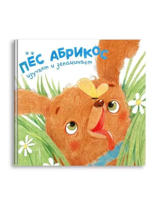 Обложка книги «Пес Абрикос изучает и запоминает»