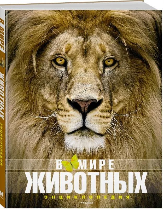 Обложка книги «В мире животных»