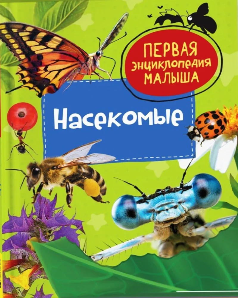 Обложка книги «Насекомые. Первая энциклопедия малыша»