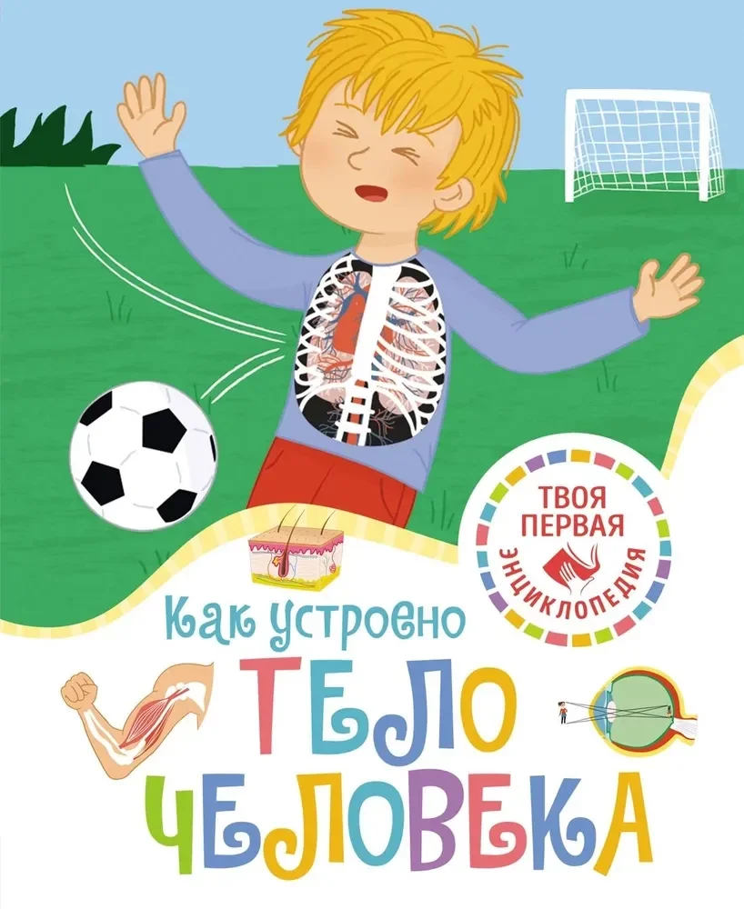 Обложка книги «Как устроено тело человека»