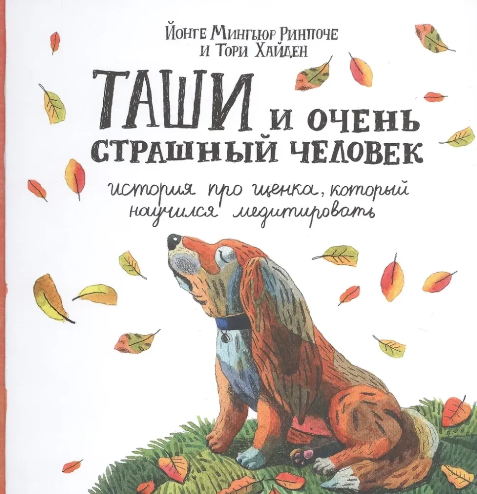 Обложка книги «Таши и Очень Страшный Человек. История про щенка, который научился медитировать»
