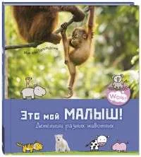 Обложка книги «Это мой малыш! Детёныши разных животных»