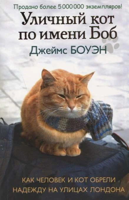 Обложка книги «Уличный кот по имени Боб»