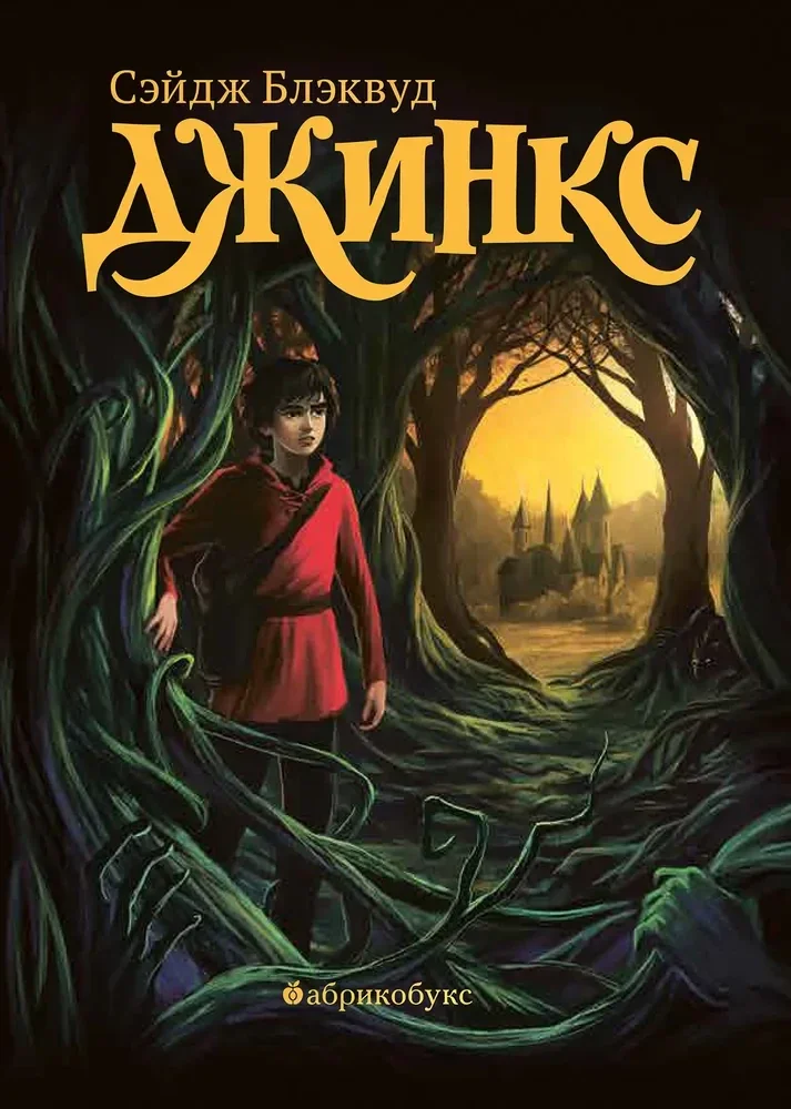 Обложка книги «Джинкс. Книга первая»