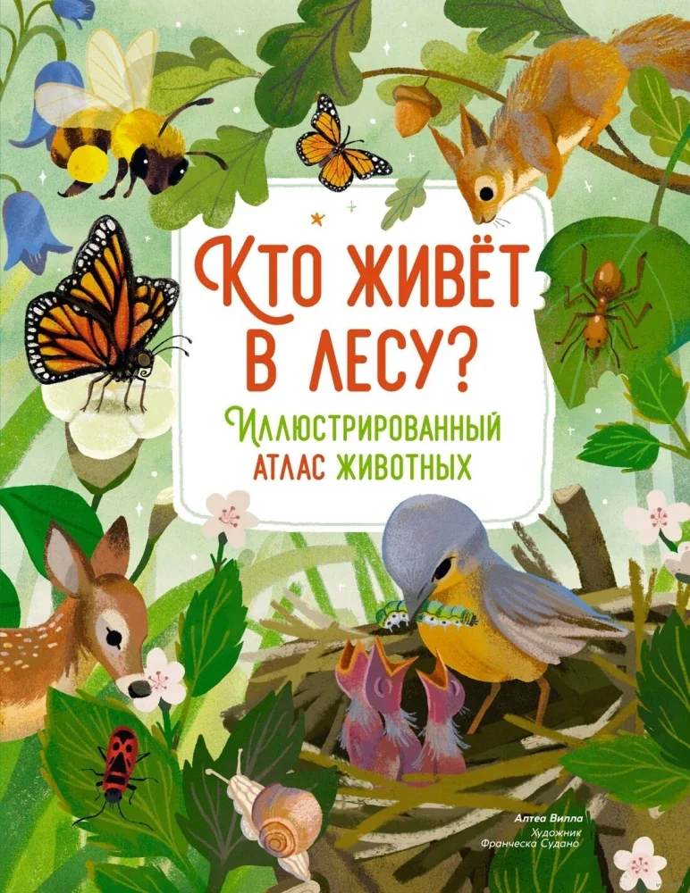 Обложка книги «Кто живёт в лесу? Иллюстрированный атлас животных»