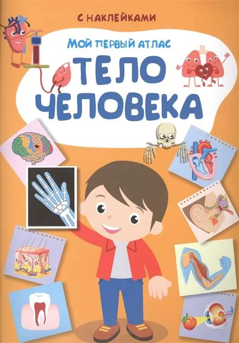 Обложка книги «Мой первый атлас. Тело человека»
