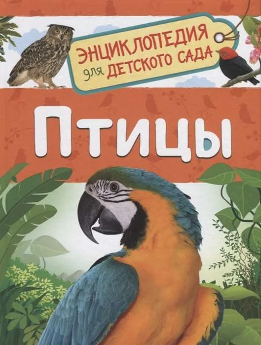 Обложка книги «Птицы. Энциклопедия для детского сада»