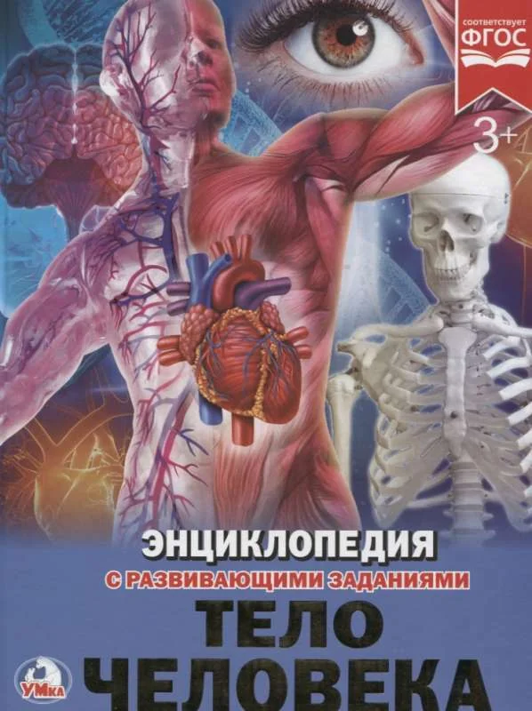 Обложка книги «Тело человека»