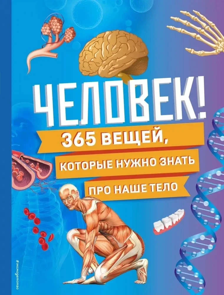 Обложка книги «Человек! 365 вещей, которые нужно знать про наше тело»