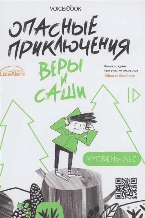 Обложка книги «Опасные приключения Веры и Саши. Уровень: Лес. Город»