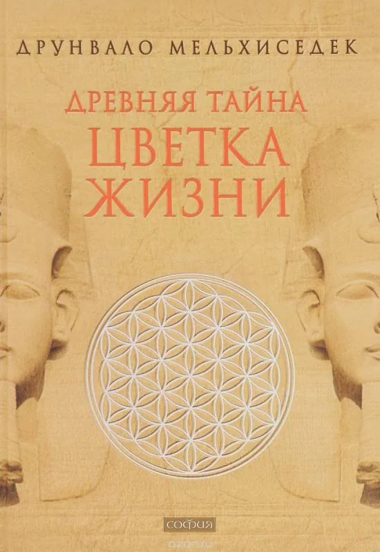 Обложка книги «Древняя тайна Цветка Жизни»