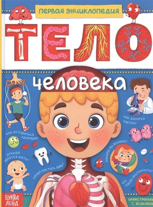Обложка книги «Тело человека. Первая энциклопедия»