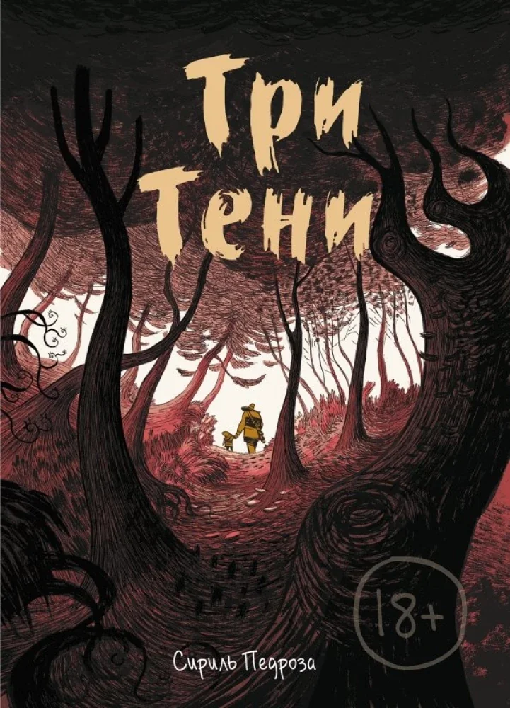 Обложка книги «Три тени»
