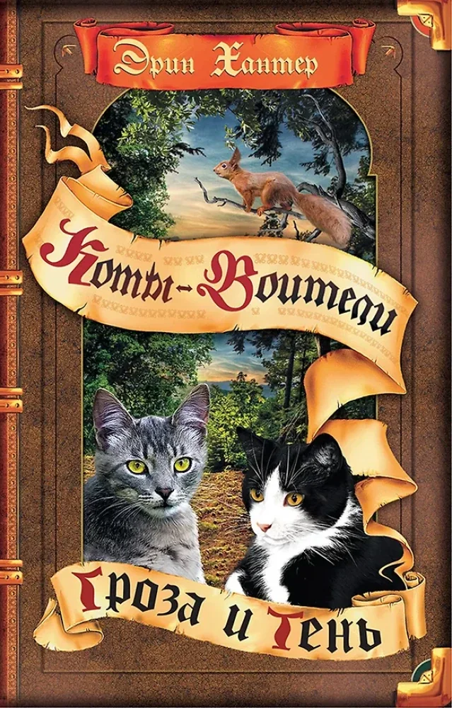 Обложка книги «Гроза и тень»