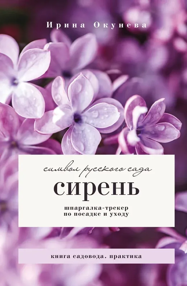 Обложка книги «Белая сирень»