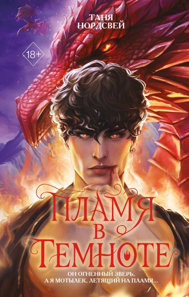Обложка книги «Пламя в темноте»