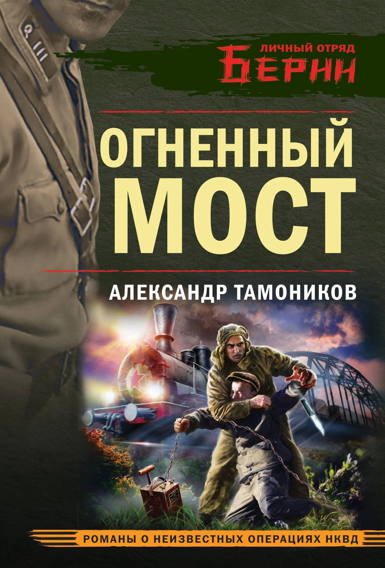 Обложка книги «Огненный мост»