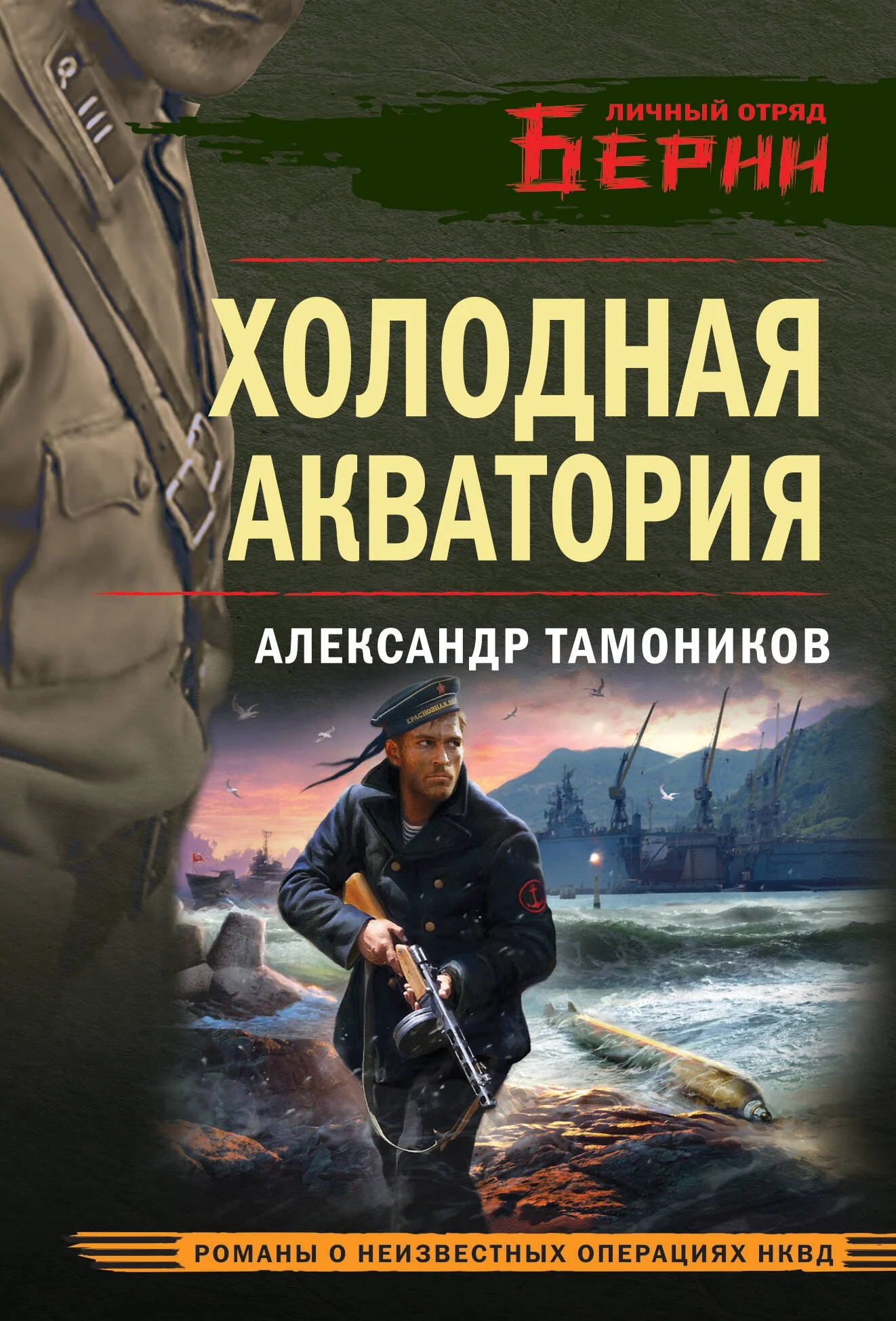 Обложка книги «Холодная акватория»