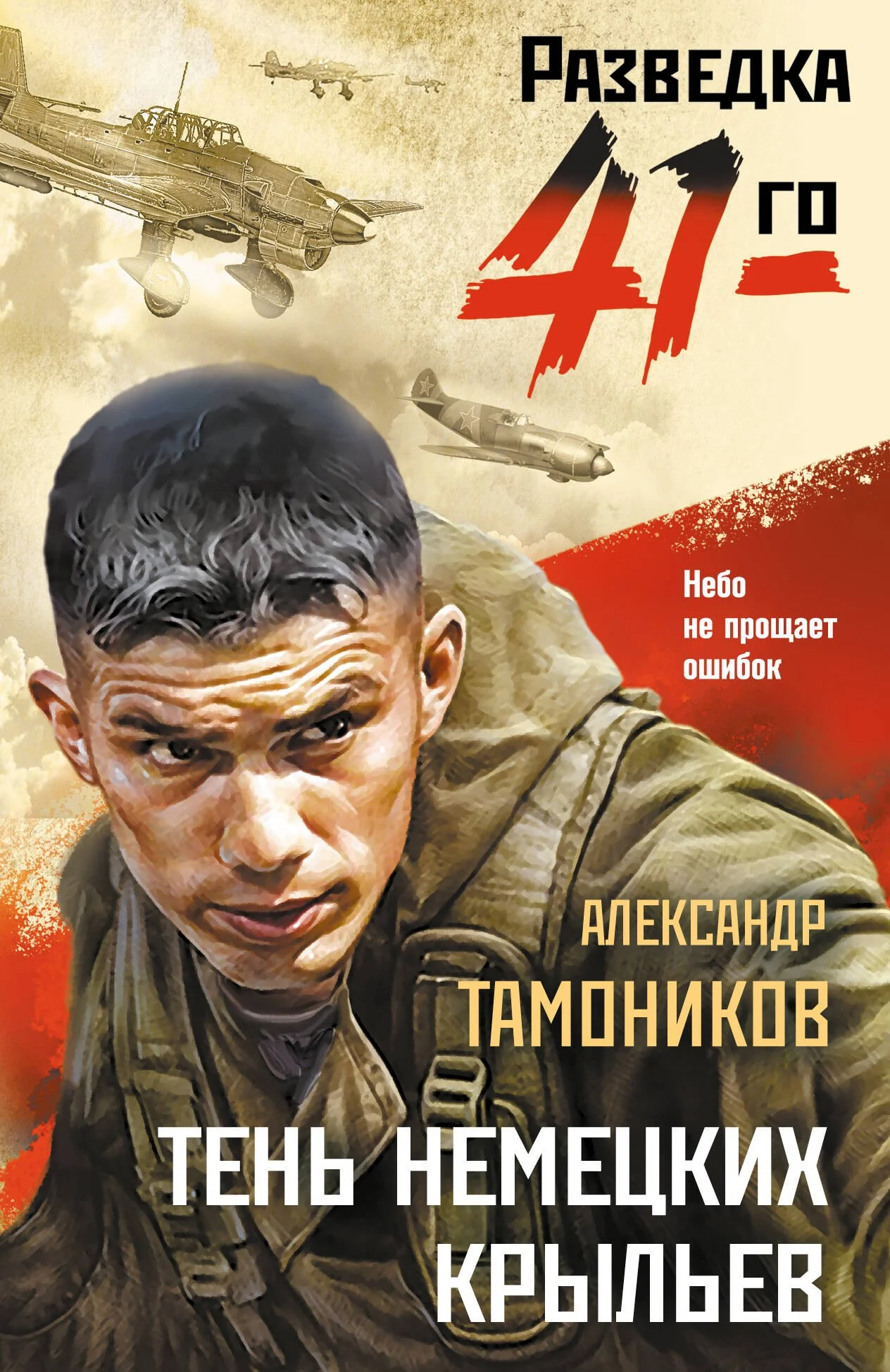 Обложка книги «Тень немецких крыльев»