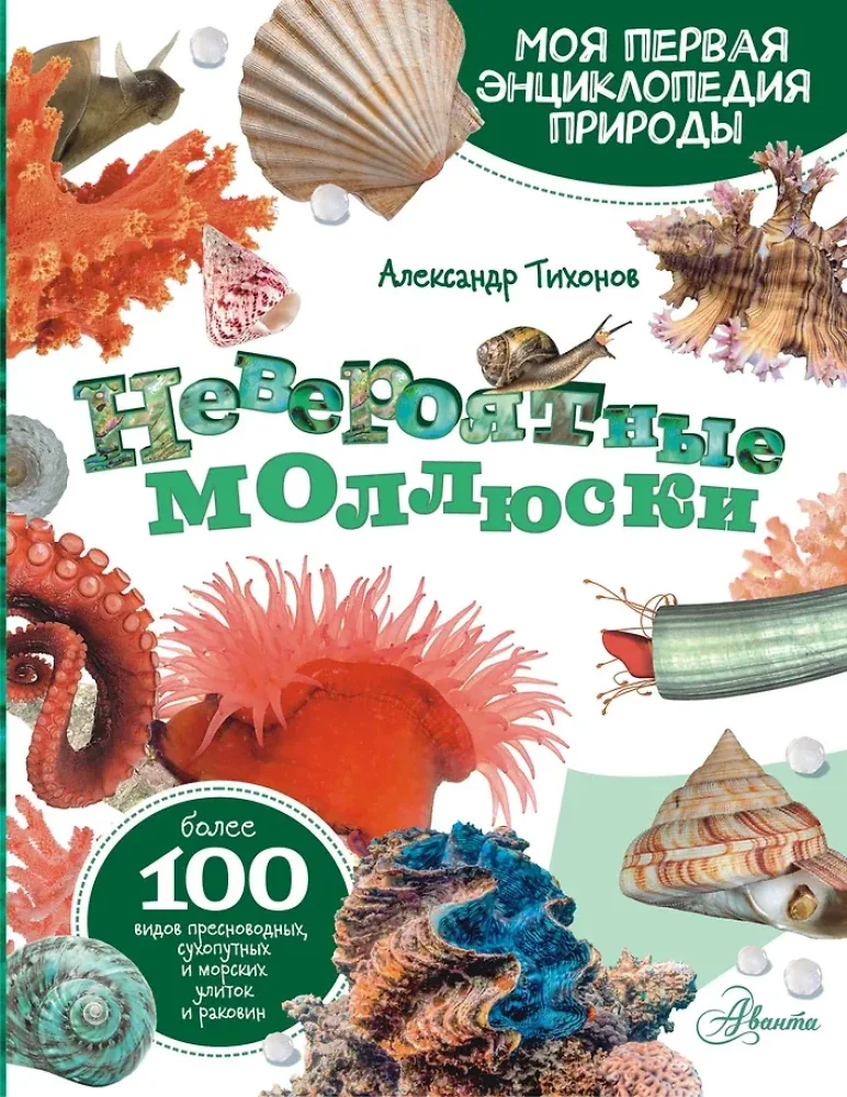 Обложка книги «Моллюски, кораллы, морские звезды, морские ежи»