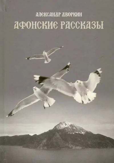 Обложка книги «Афонские рассказы»