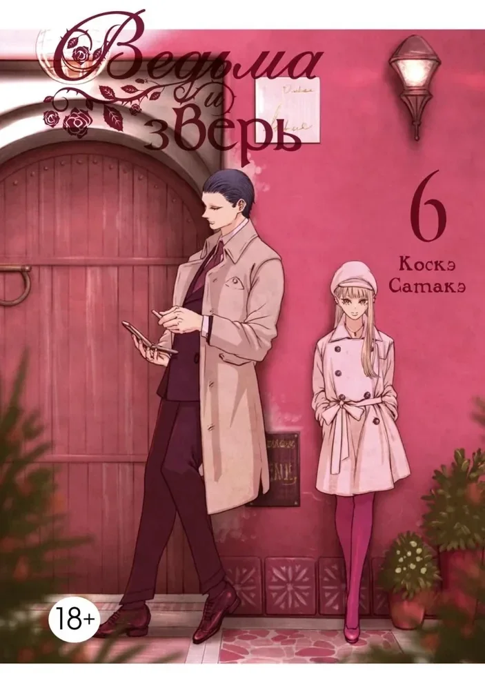 Обложка книги «Ведьма и зверь. Том 6»