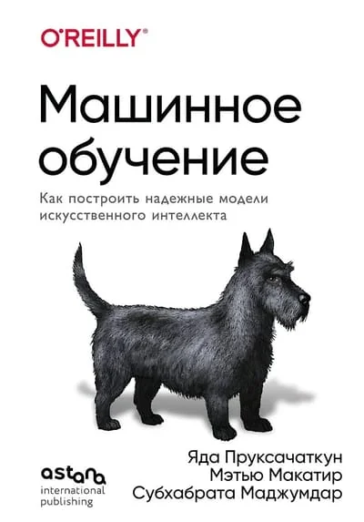 Обложка книги «Машинное обучение. Как построить надежные модели искусственного интеллекта»