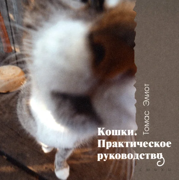 Обложка книги «Кошки. Практическое руководство»