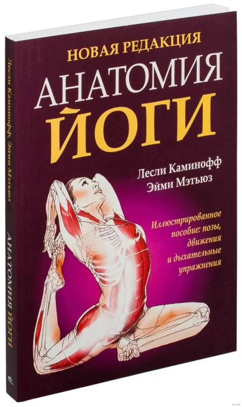 Обложка книги «Анатомия йоги»