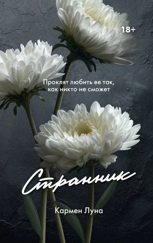 Обложка книги «Странник»