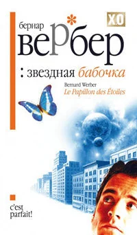 Обложка книги «Звездная бабочка»