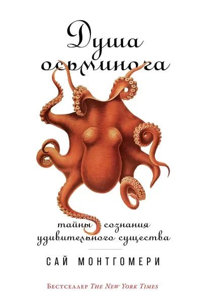 Обложка книги «Душа осьминога»