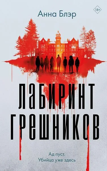 Обложка книги «Лабиринт грешников»