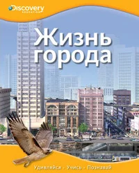 Обложка книги «Discovery. Жизнь города»