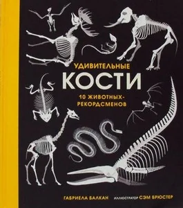 Обложка книги «Удивительные кости»
