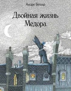 Обложка книги «Двойная жизнь Медора»