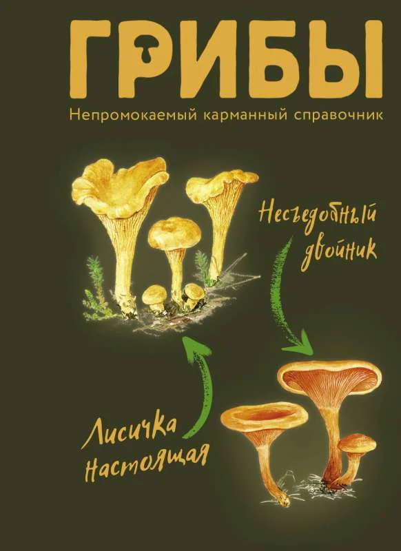 Обложка книги «Грибы. Непромокаемый карманный справочник»
