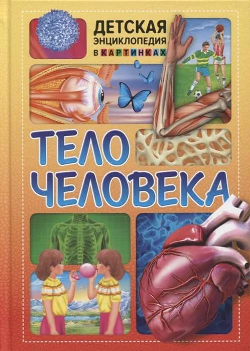 Обложка книги «Тело человека»