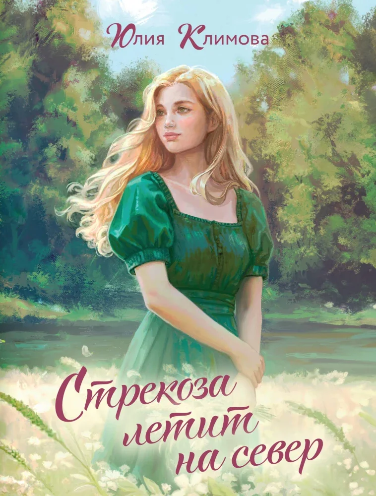 Обложка книги «Стрекоза летит на север (Путь домой #1)»