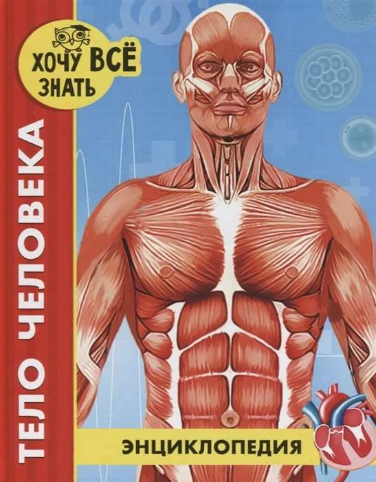 Обложка книги «Тело человека»