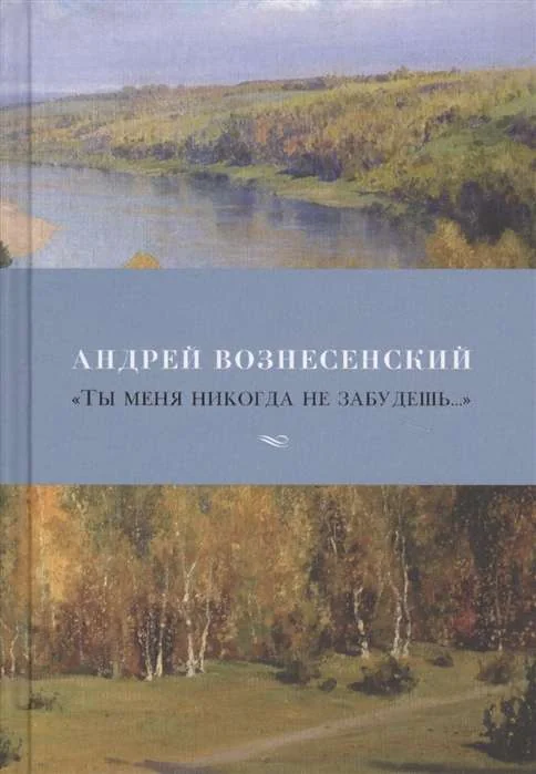 Обложка книги «Ты меня никогда не забудешь…»