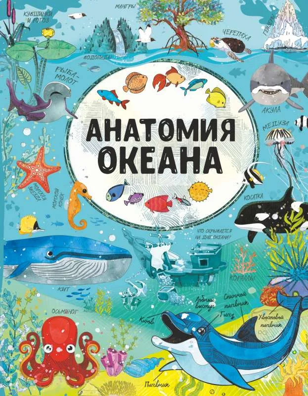 Обложка книги «Анатомия океана»