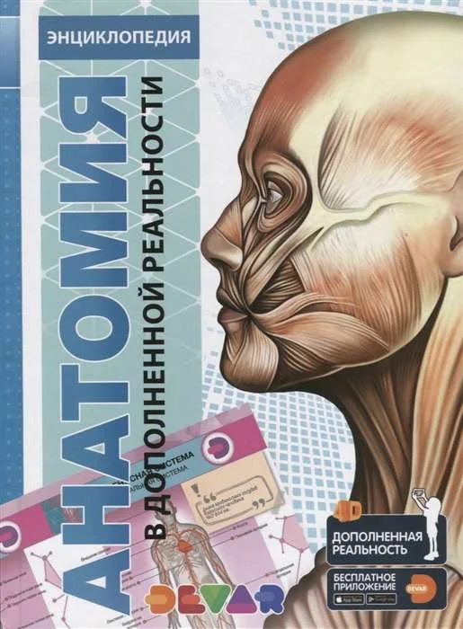 Обложка книги «Анатомия»