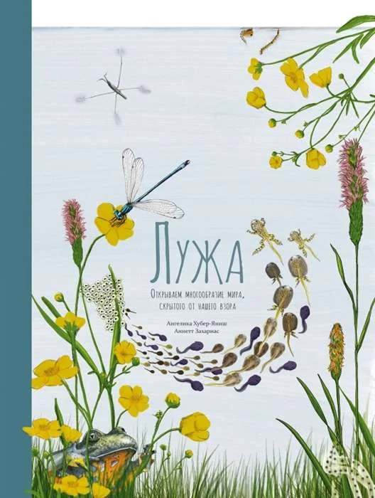 Обложка книги «Лужа. Открываем многообразие мира, скрытого от нашего взора»
