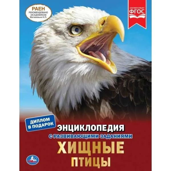 Обложка книги «Хищные птицы : энциклопедия с развивающими заданиями : для чтения взрослыми детям»